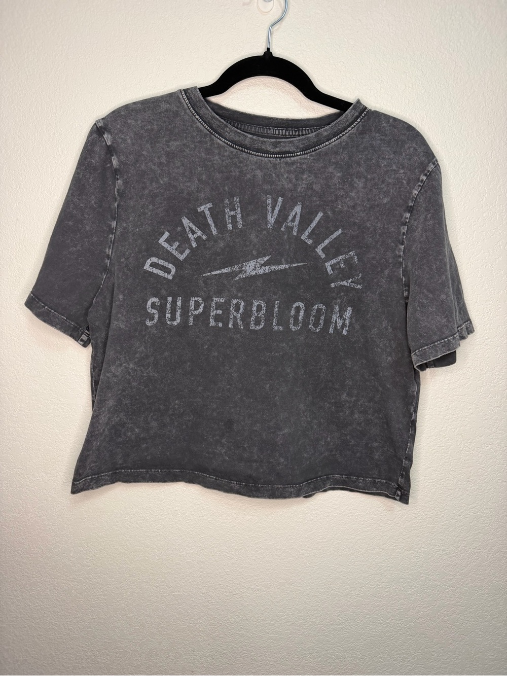 Cleo + Wolf Death Valley Superbloom Acid Wash Graphic Crop Tee Small